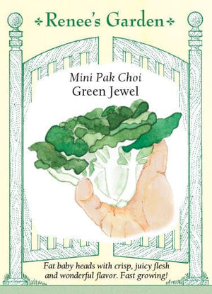 Pak Choi Green Jewel Mini - Renee's Garden