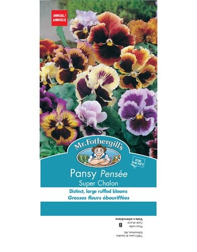 Pansy Super Chalon - Mr. Fothergill's