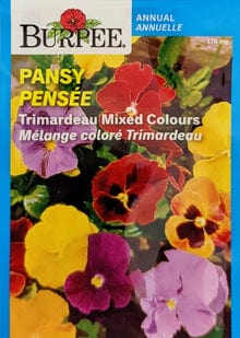 Pansy Trimardeau Mixed Colours - Burpee Seeds
