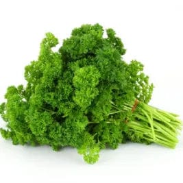 Parsley Forest Green - Saanich Organics Seeds