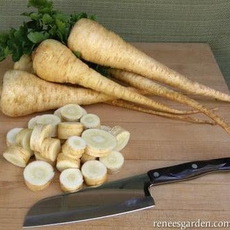 Parsnip Gladiator - Renee's Garden Seeds