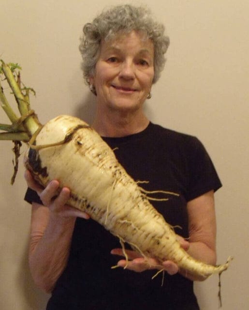 Parsnip Gladiator - West Coast Seeds