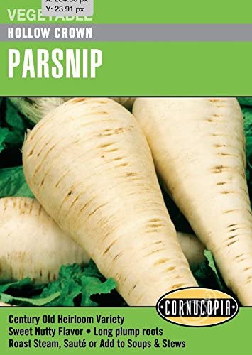 Parsnip Hollow Crown - Cornucopia Seeds