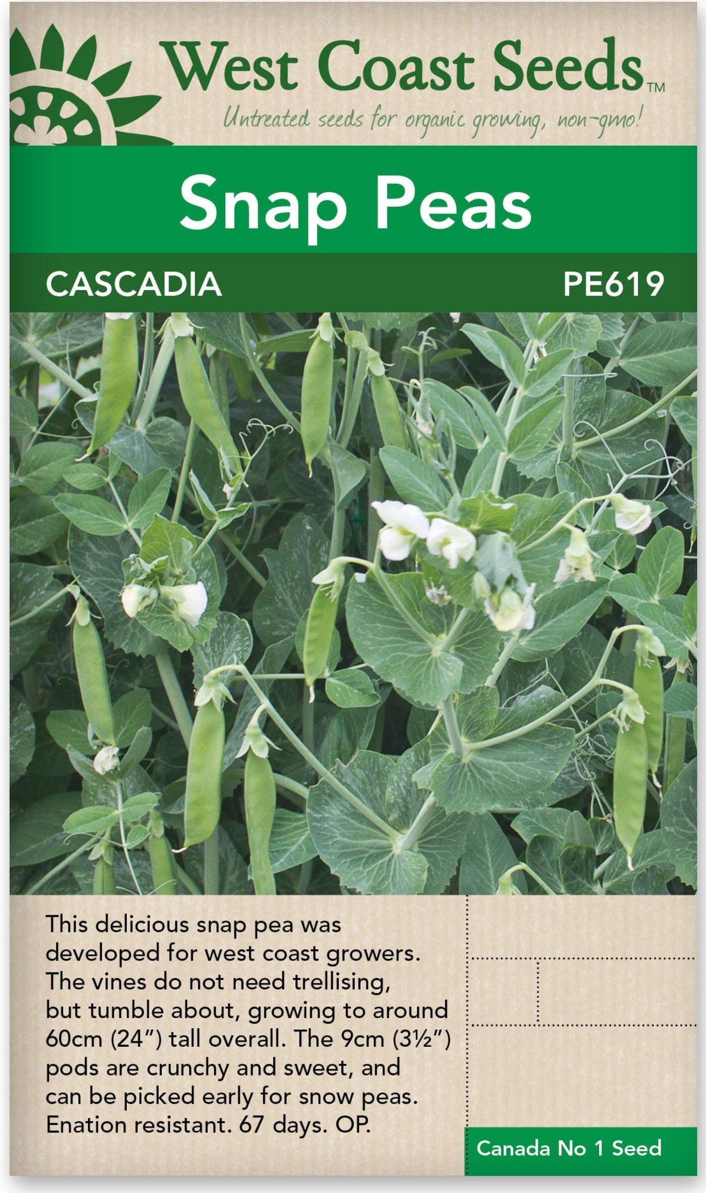 Pea Cascadia - West Coast Seeds