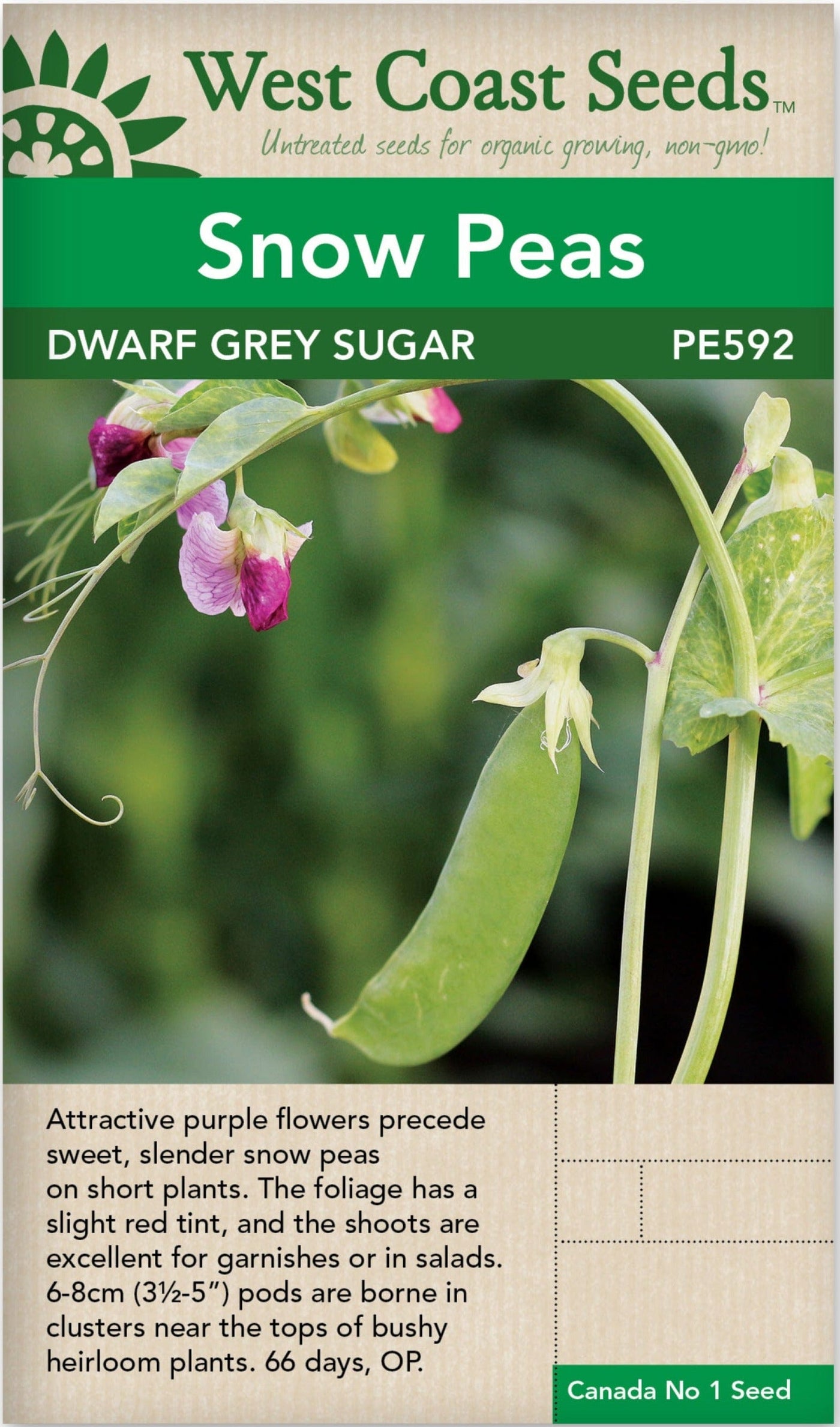 Pea Dwarf Grey Sugar - West Coast Seeds