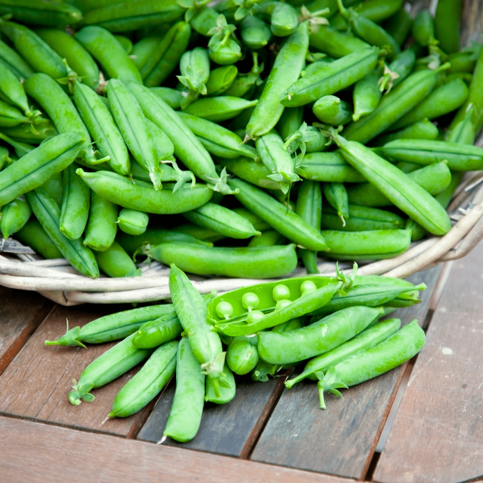 Pea Golden Pod - Salt Spring Seeds