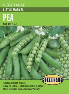 Pea Little Marvel - Cornucopia Seeds