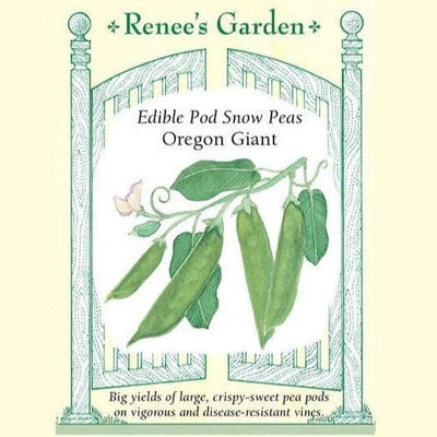 Pea Oregon Giant Snow - Renee's Garden Seeds