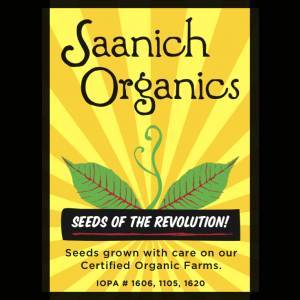 Pea Oregon Giant Snow - Saanich Organics Seeds