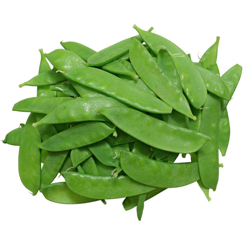 Pea Oregon Sugar Pod - Aimer's Organic Seed