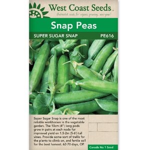 Snap Peas Super Sugar Snap - West Coast Seeds
