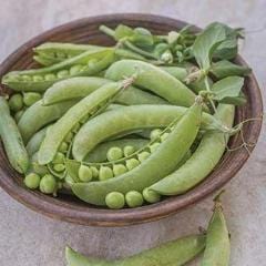 Pea Super Snappy - Burpee Seeds