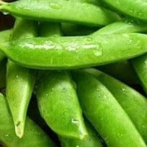 Bonus Packet Pea Super Sugar Snap Edible Pod - Cornucopia Seeds
