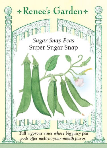 Peas Super Sugar Snap - Renee's Garden