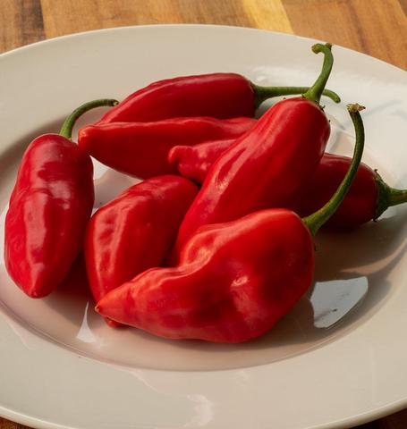 Pepper Aji Rico - West Coast Seeds