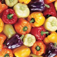 Pepper Carnival Blend - Burpee Seeds