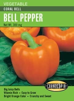 Pepper Coral Bell - Cornucopia Seeds