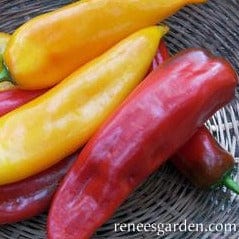 Pepper Corno di Toro Mix - Renee's Garden Seeds
