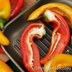 Pepper Corno di Toro Mix - Renee's Garden Seeds