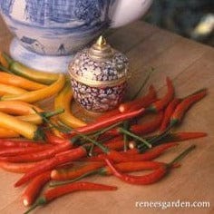 Chiles Full Moon & Vesuvius - Renee's Garden Seeds