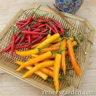 Chiles Full Moon & Vesuvius - Renee's Garden Seeds