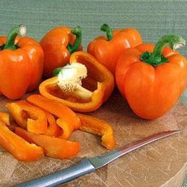 Peppers Gourmet Orange - Renee's Garden Seeds