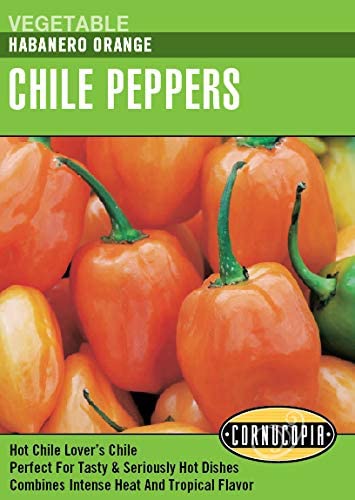 Pepper Habanero Orange - Cornucopia Seeds