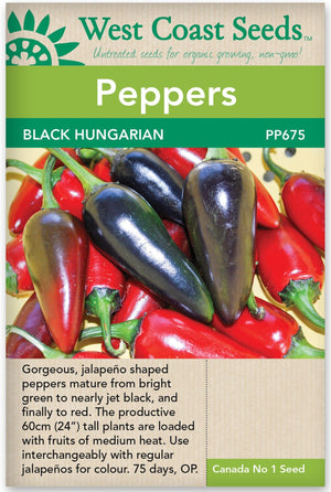 Pepper Hungarian Black Hot - West Coast Seeds