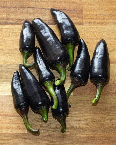 Pepper Hungarian Black Hot - West Coast Seeds