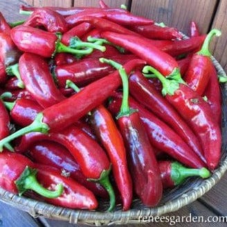 Peppers Hungarian Magyar - Renee's Garden Seeds