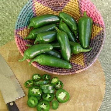 Jalapenos Early Flame Chile - Renee's Garden Seeds