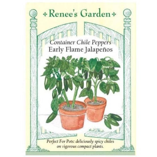 Jalapenos Early Flame Chile - Renee's Garden Seeds