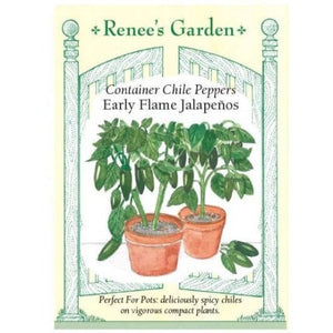 Jalapenos Early Flame Chile - Renee's Garden Seeds