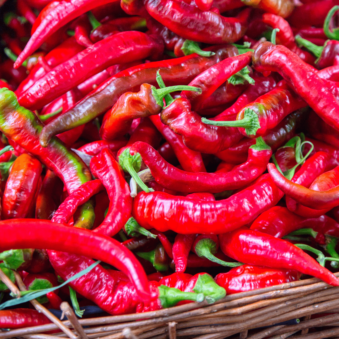 Pepper Jimmy Nardello - Salt Spring Seeds