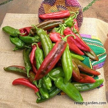 Chile NuMex Joe E Parker - Renee's Garden Seeds