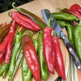 Chile NuMex Joe E Parker - Renee's Garden Seeds