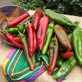 Chile NuMex Joe E Parker - Renee's Garden Seeds