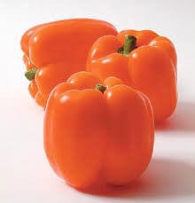 Pepper Orange Sun Sweet - Salt Spring Seeds