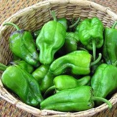 Peppers Padron Tapas - Renee's Garden Seeds