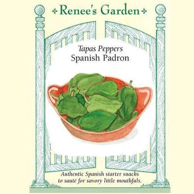 Peppers Padron Tapas - Renee's Garden Seeds