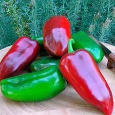 Pepper Pizza My Heart - Renee's Garden Seeds