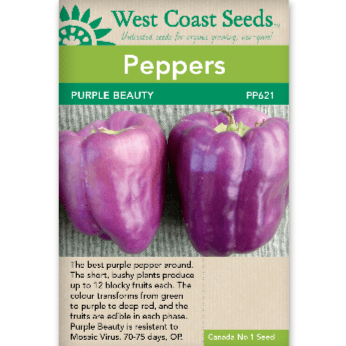 Peppers Purple Beauty - West Coast Seeds