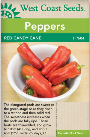 Pepper Red Candy Cane - West Coast Seeds