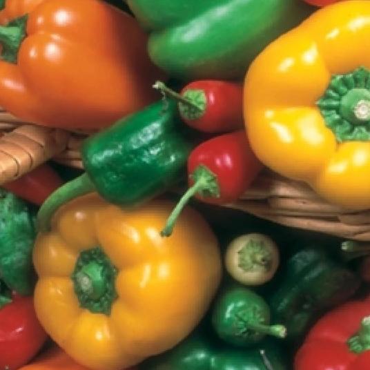 Pepper Sweet Allsorts - Mr. Fothergill's Seed