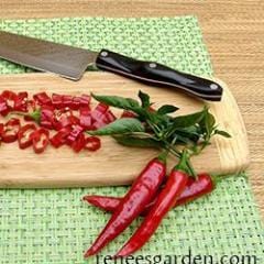 Peppers Tibetan Lhasa - Renee Garden