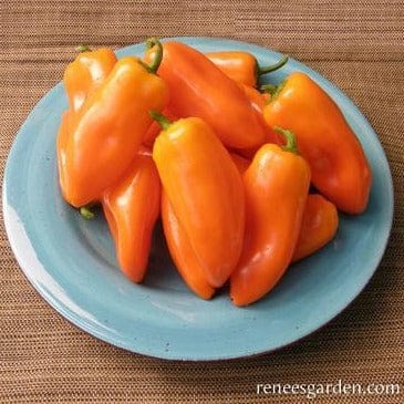 Pepper Yummy Belles - Renee's Garden Seeds