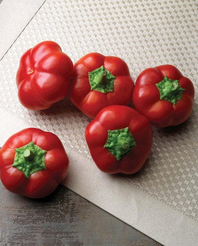 Peppers Right On Red - West Coast Seeds