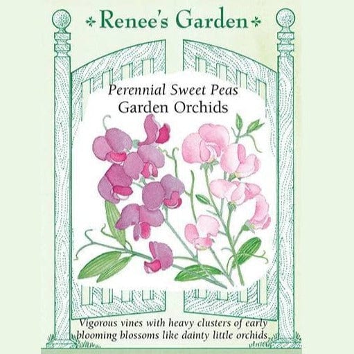 Perennial Sweet Pea Orchids - Renee's Garden Seeds