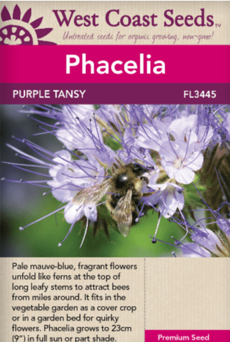 Phacelia Purple Tansy - West Coast Seeds
