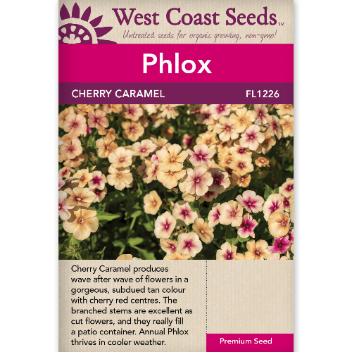 Phlox Cherry Caramel - West Coast Seeds